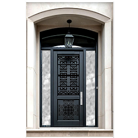 Ricarcd Home metal door DD721