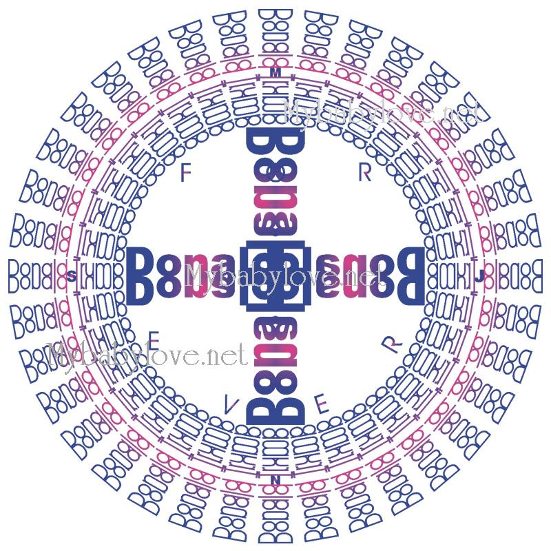 Donald Trump For Ever